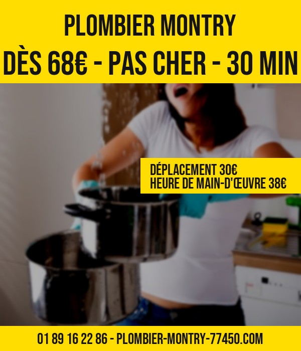 tarif plombier Montry